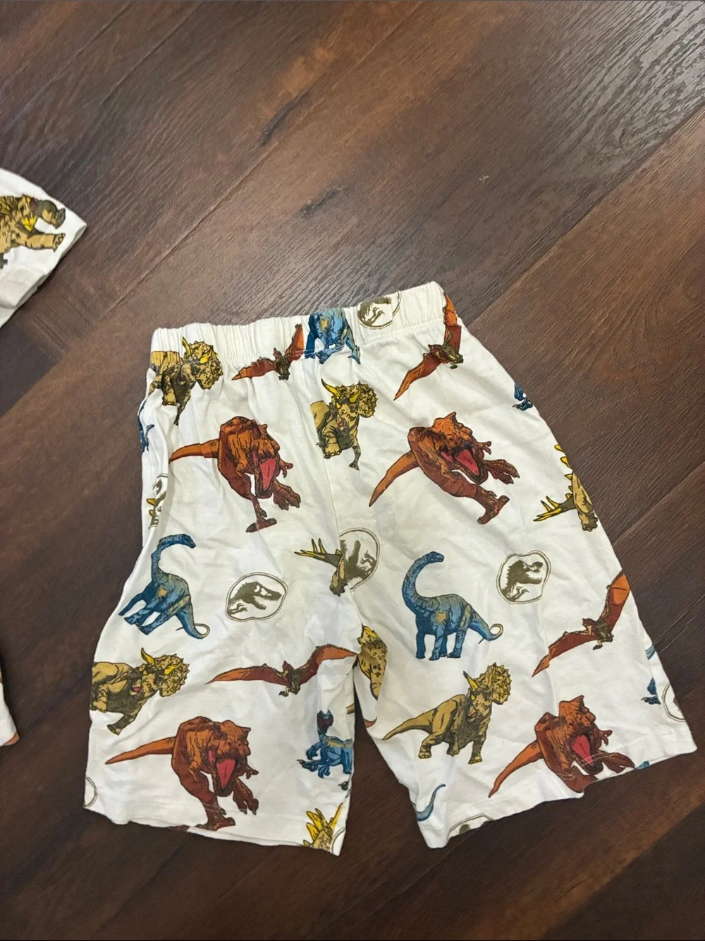 Jurassic World 2 Piece Dinosaur Shirt & Shorts Set Sz 10-12 100% Cotton